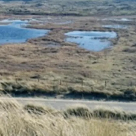 Luxus Wattenmeerblick Daire