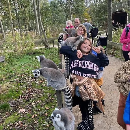 Luxus Wattenmeerblick Daire